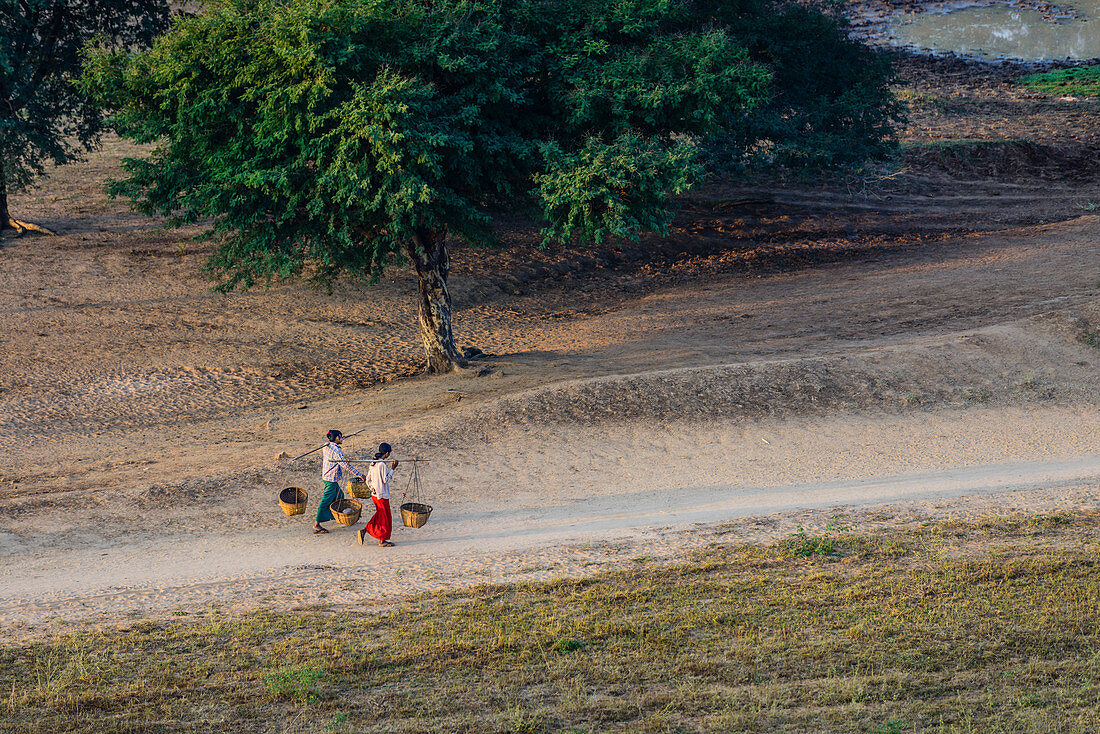 Menschen tragen Körbe auf einem Feldweg in ländlicher Landschaft, Myanmar, Burma