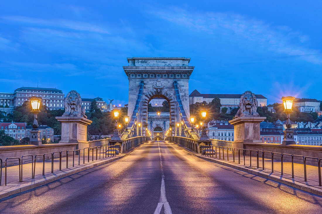 Löwenstatuen und beleuchtete Straßenlaternen entlang der Kettenbrücke, Budapest, Ungarn