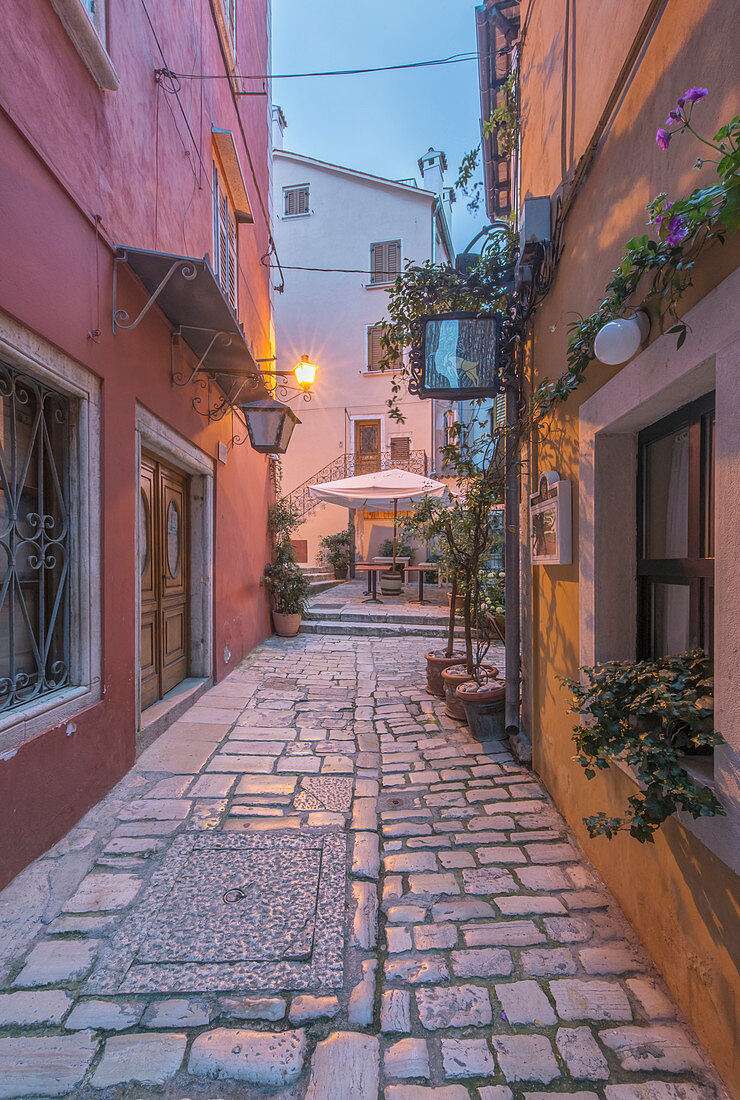 Cobblestone alleyway between village buildings, Croatia