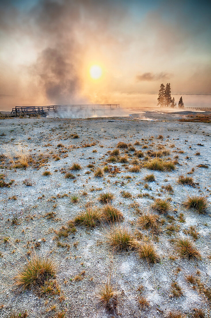 Dampf steigt bei Sonnenaufgang aus dem Geysir auf, Yellowstone Nationalpark, Wyoming, Vereinigte Staaten von Amerika.