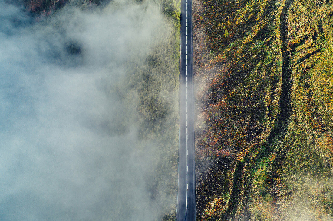 Straße im Nebel auf den Azoren, Sao Miguel, Azoren, Atlantischer Ozean, Portugal, Europa