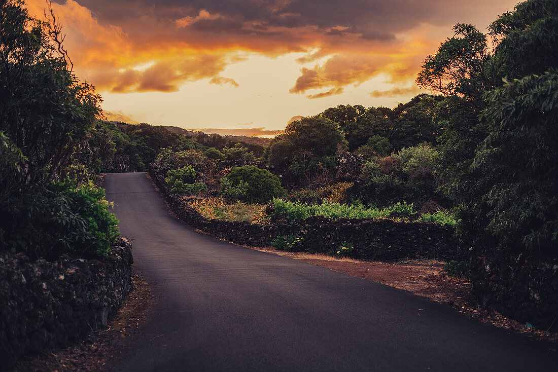 Evening mood on the island of Pico, Azores, Portugal, Atlantic Ocean, Atlantic Ocean, Europe,