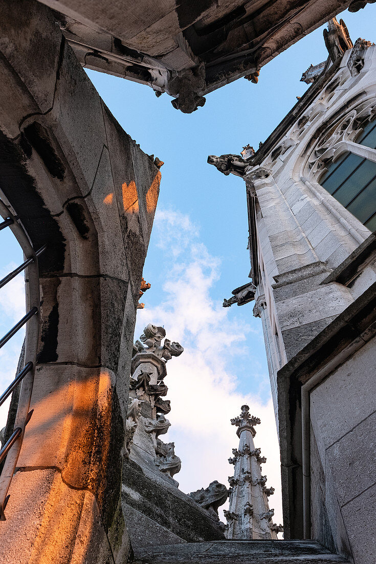 Blick auf die RathaustÃ¼rme vom neuen Rathaus, MÃ¼nchen, Bayern, Deutschland