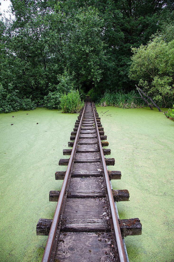 Verwilderte Schiene im stillgelegten Freizeitpark im Plänterwald, Treptow, Berlin, Deutschland 