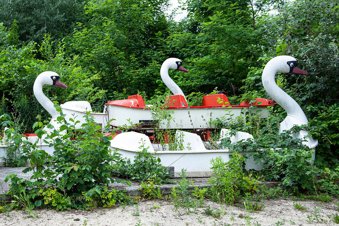 Verwilderte Boote in Schwanenform im stillgelegten Freizeitpark im Plänterwald, Treptow, Berlin, Deutschland