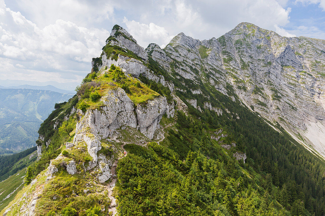 Rauher Kamm, Ötscher, Niederösterreich, Österreich