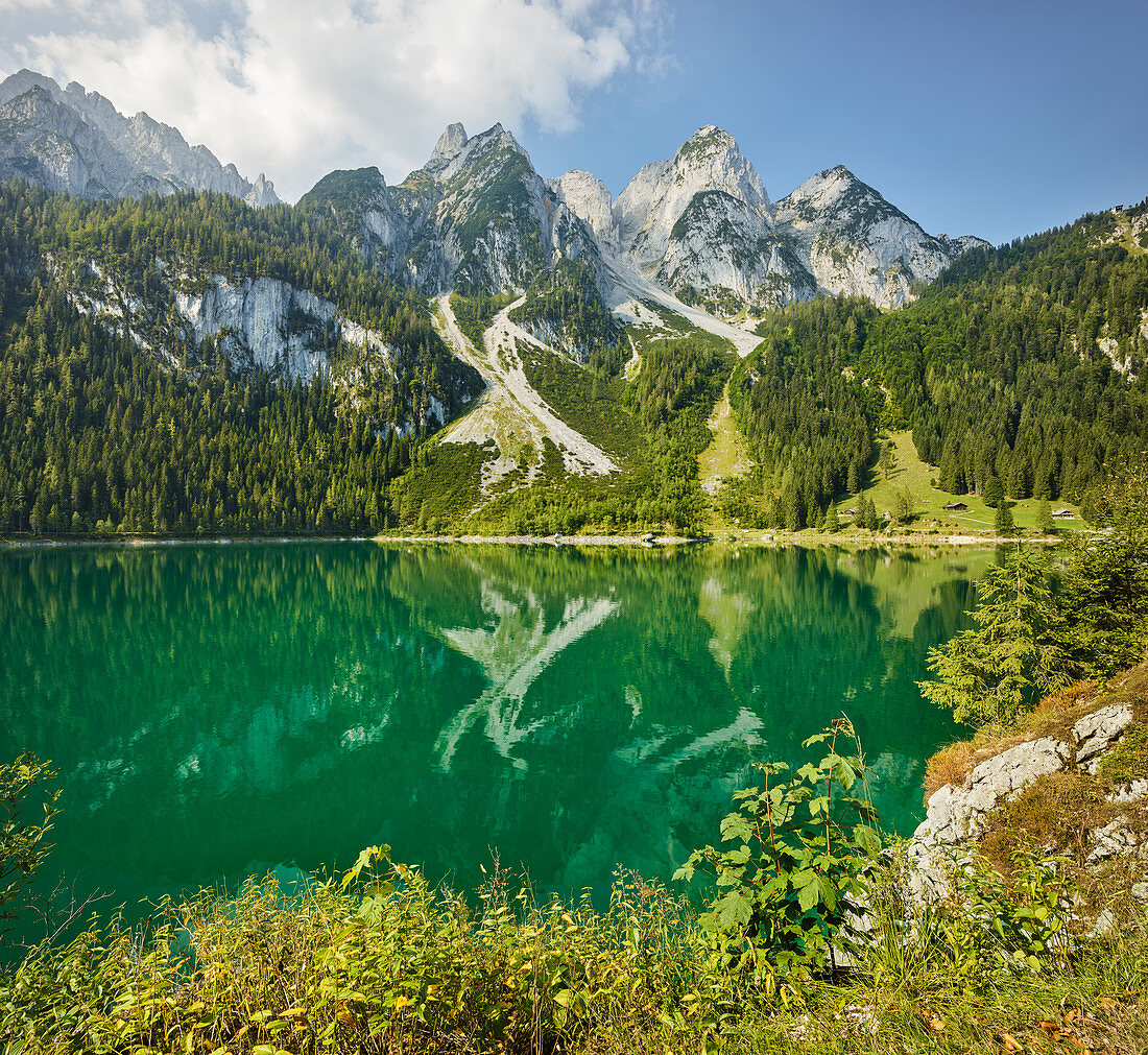 Vorderer Gosausee, Gosaukamm, Salzkammergut, Oberösterreich, Österreich