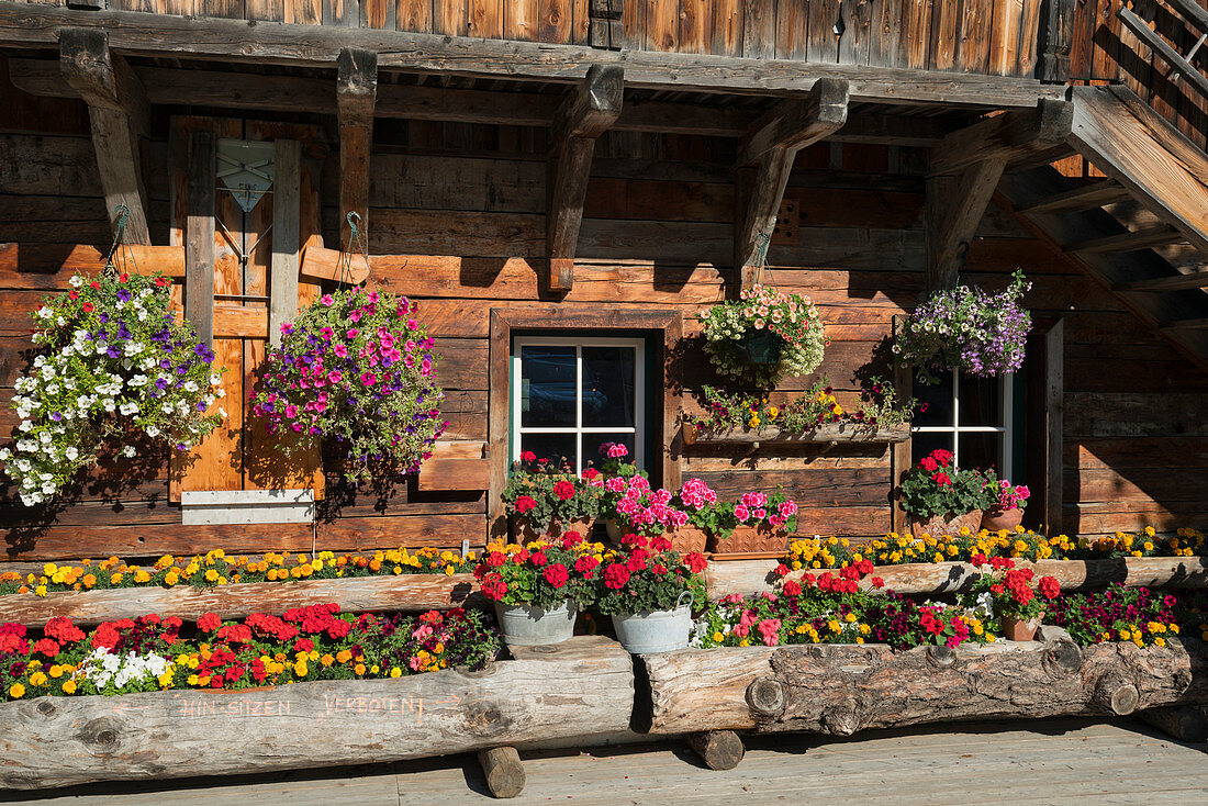 Flowers, wooden house, Turracher Höhe, Styria, Austria