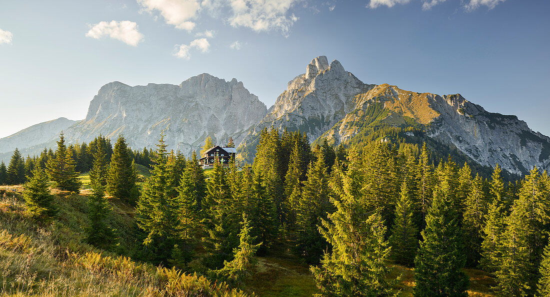 Treffneralm, Mödlinger Hütte, Kalbling, Sparafeld, Reichenstein, Ennstal Alps, Styria, Austria