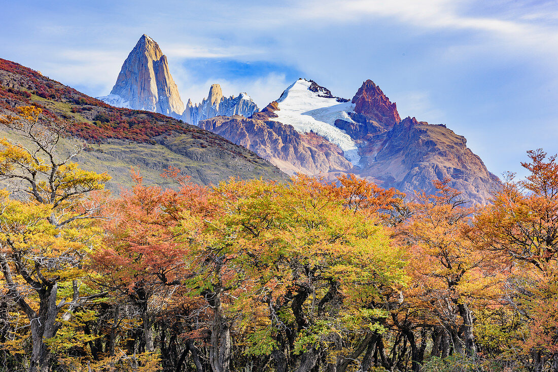 Wald im Herbst in der Nähe von Bergen, Mount Fitz Roy, Patagonien, Chile