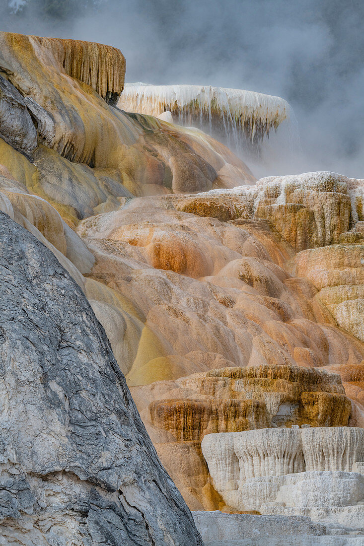 Travertinformationen, Palette Spring, Mammoth Hot Springs, Yellowstone-Nationalpark, Wyoming