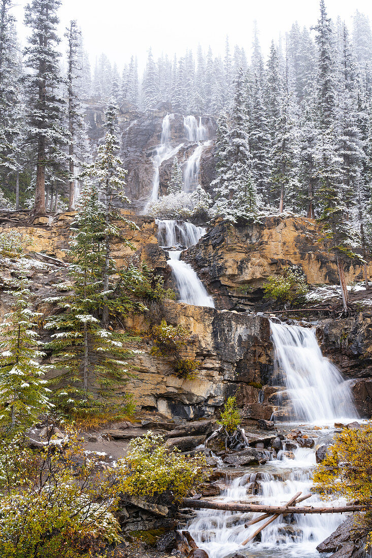 Wasserfall nach Herbstschneefällen, Tangle Creek Falls, Jasper Nationalpark, Alberta, Canada
