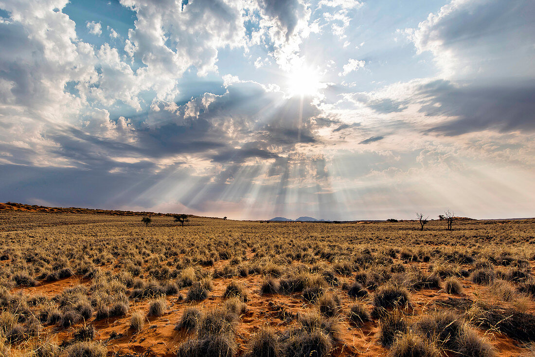 Sonnenstrahlen über der Wüste, Namib-Naukluft-Nationalpark, Namibia