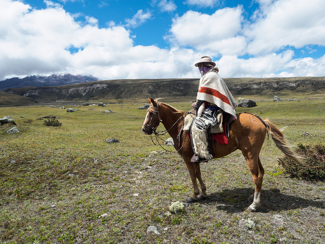 Einheimischer auf einem Pferd in der hohen Paramolandschaft, Nationalpark Cotopaxi, Anden-Berge, Ecuador, Südamerika