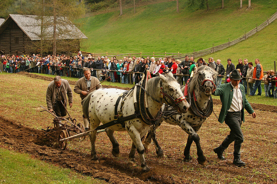 Stubing Festival, Styria, Austria, Europe