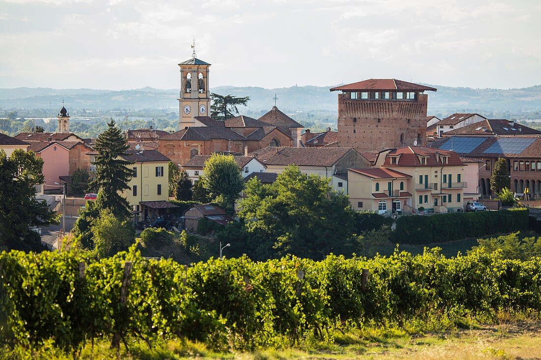 On the Fausto Coppi's roads, Carbonara, Tortona area, Alessandria, Piedmont, Italy, Europe