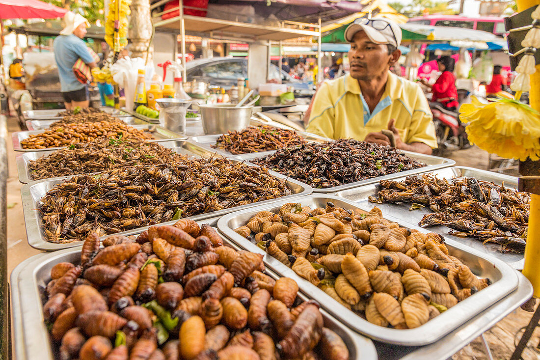 A stall selling various insects in the night market in Kamala in Phuket, Thailand, Southeast Asia, Asia