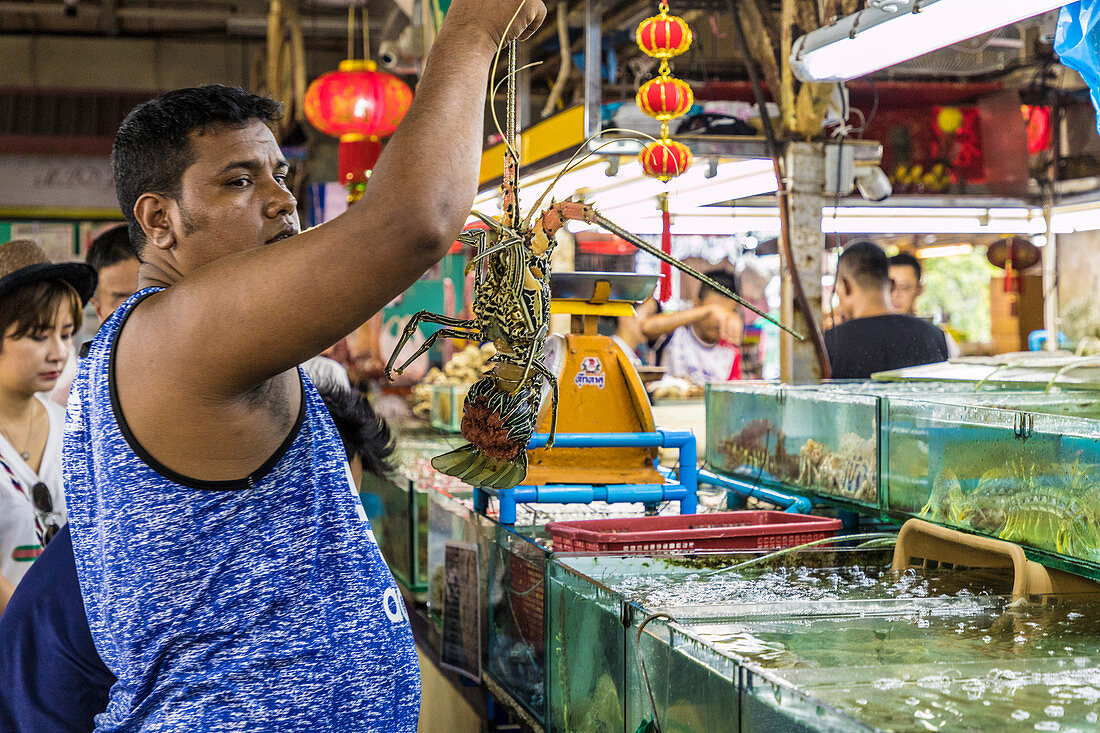 Live seafood for sale at the indoor Banzaan food market in Patong, Phuket, Thailand, Southeast Asia, Asia