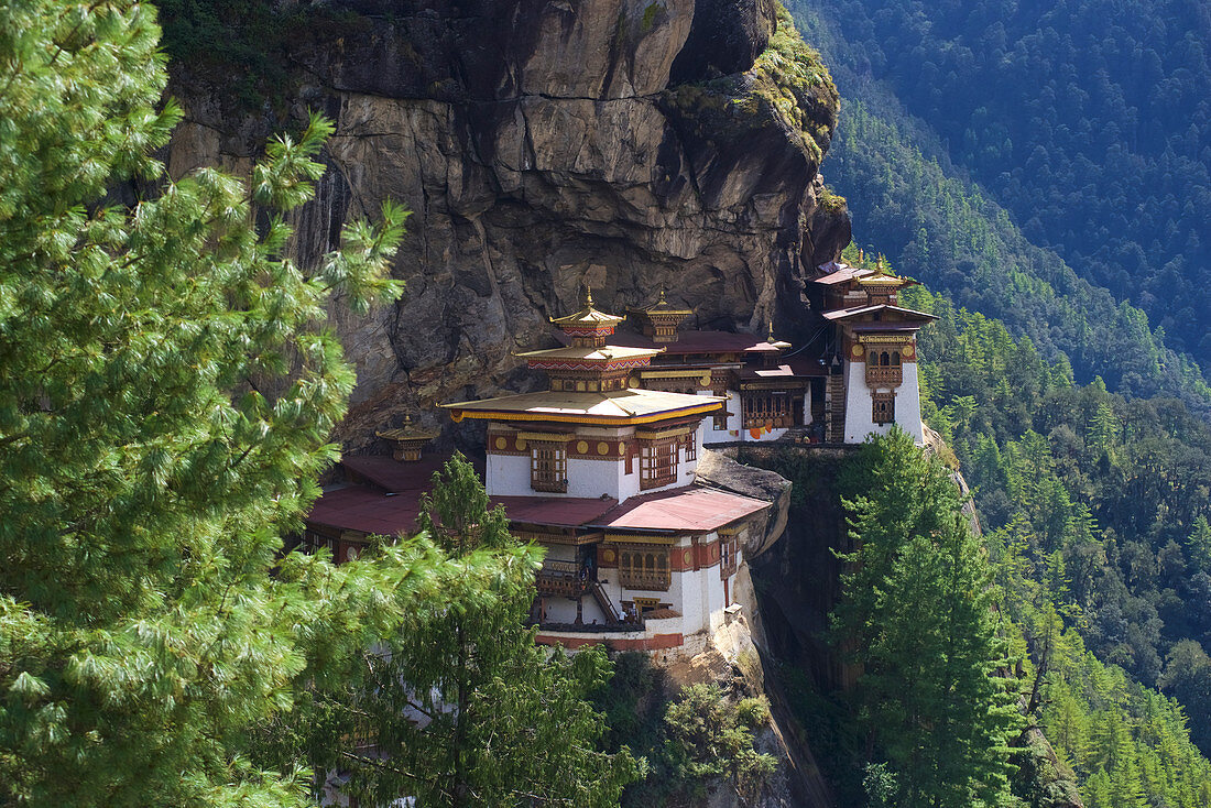Das Kloster Taktsang oder Tigernest in einer Felswand, buddhistisches Kloster im Parotal, Bhutan, Himalaya
