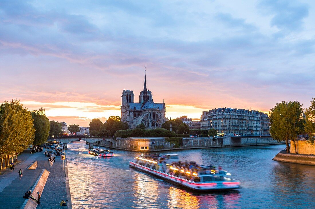Ile de la Cite, Kathedrale Notre Dame, UNESCO Weltkulturerbe, Paris, Frankreich