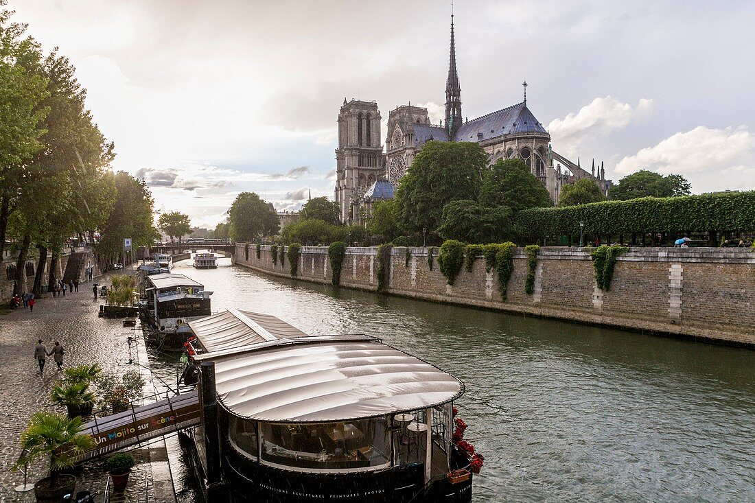 France, Paris, area listed as World Heritage by UNESCO, restaurant boat in front of Ile Saint Louis, Notre Dame Cathedral under the rain