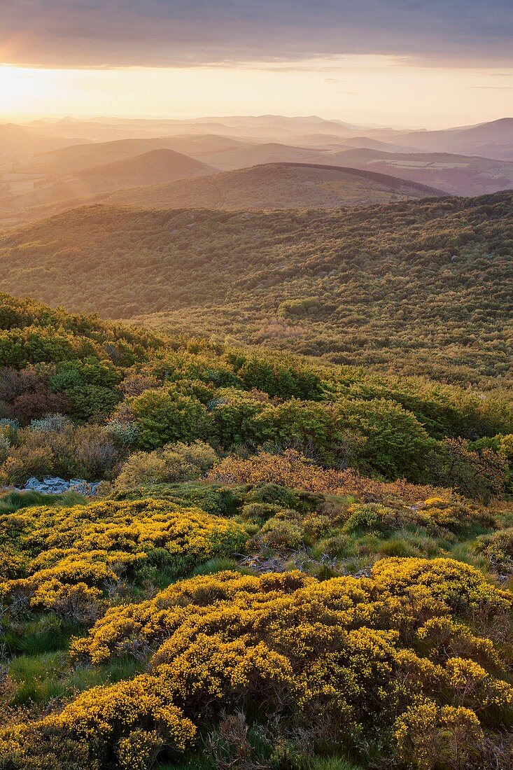 Frankreich, Hérault, Parc Naturel Regional du Haut Languedoc (Regionaler Naturpark des Haut Languedoc), Blick vom Felsen von Montalet (1259 m)