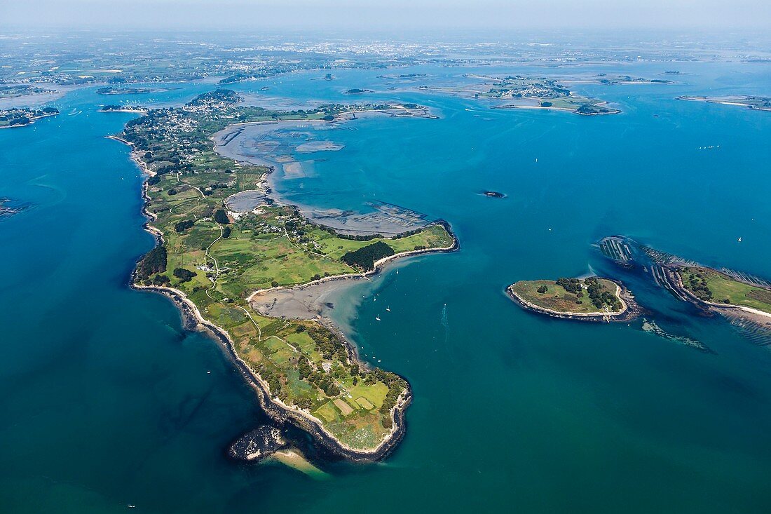 France, Morbihan, Golfe du Morbihan, Moines island (aerial view)