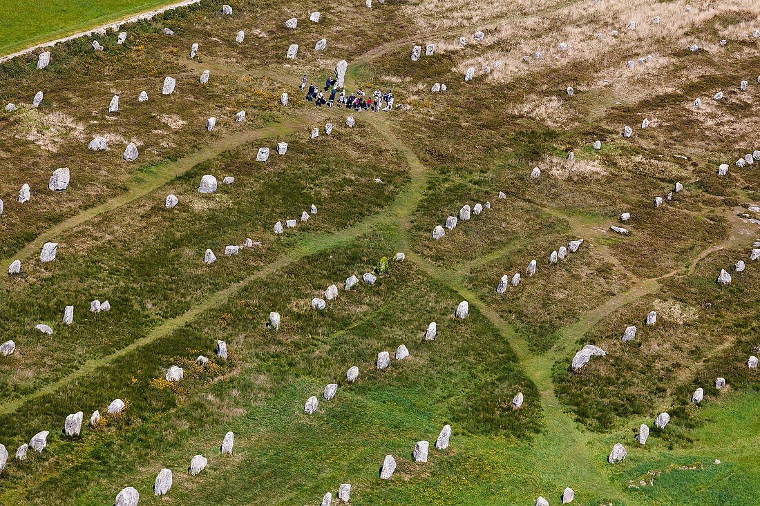France, Morbihan, Carnac, Menec megalithic site (aerial view)