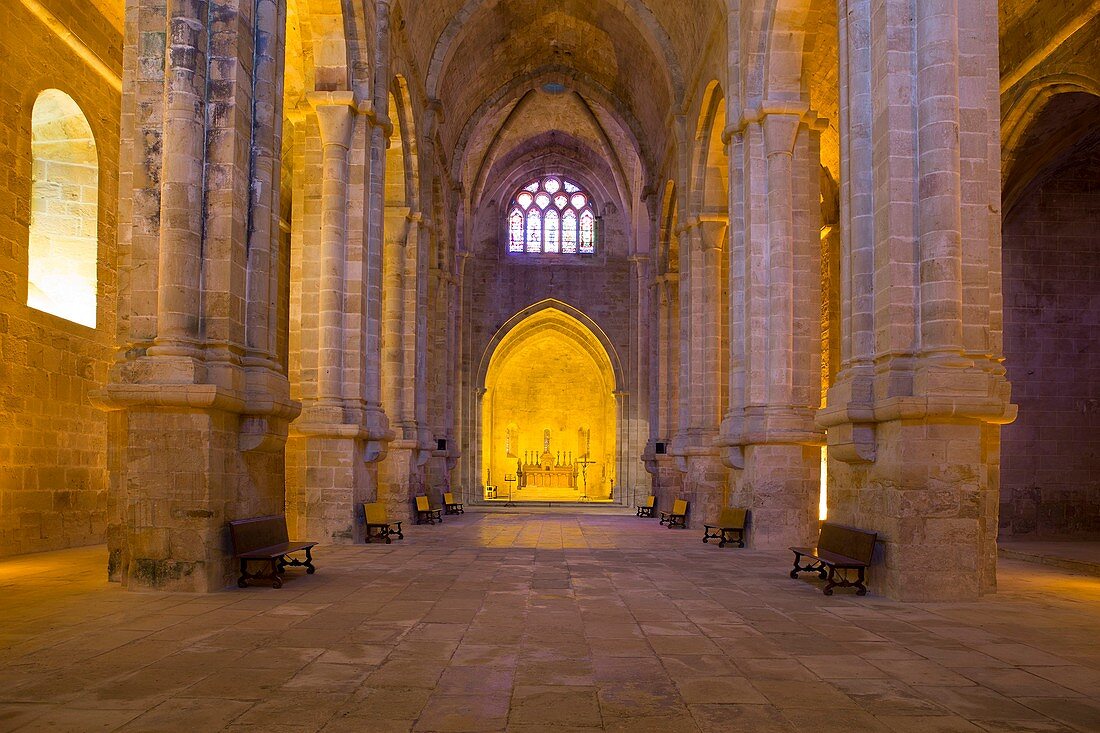 Frankreich, Aude, das Kirchenschiff der Abteikirche Sainte Marie de Fontfroide Zisterzienserabtei