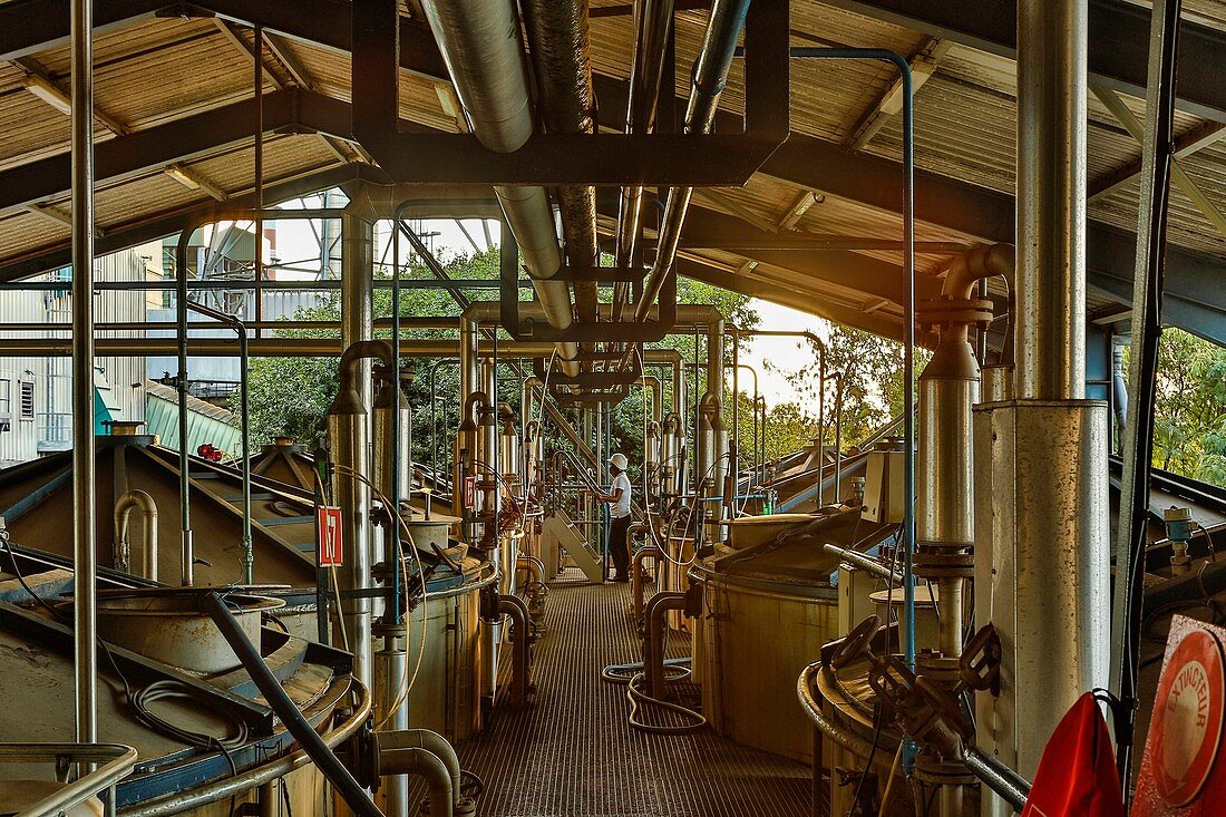 France, Reunion Island (French overseas department), Savanna, factory of Bois Rouge, industrial plant rum distillery