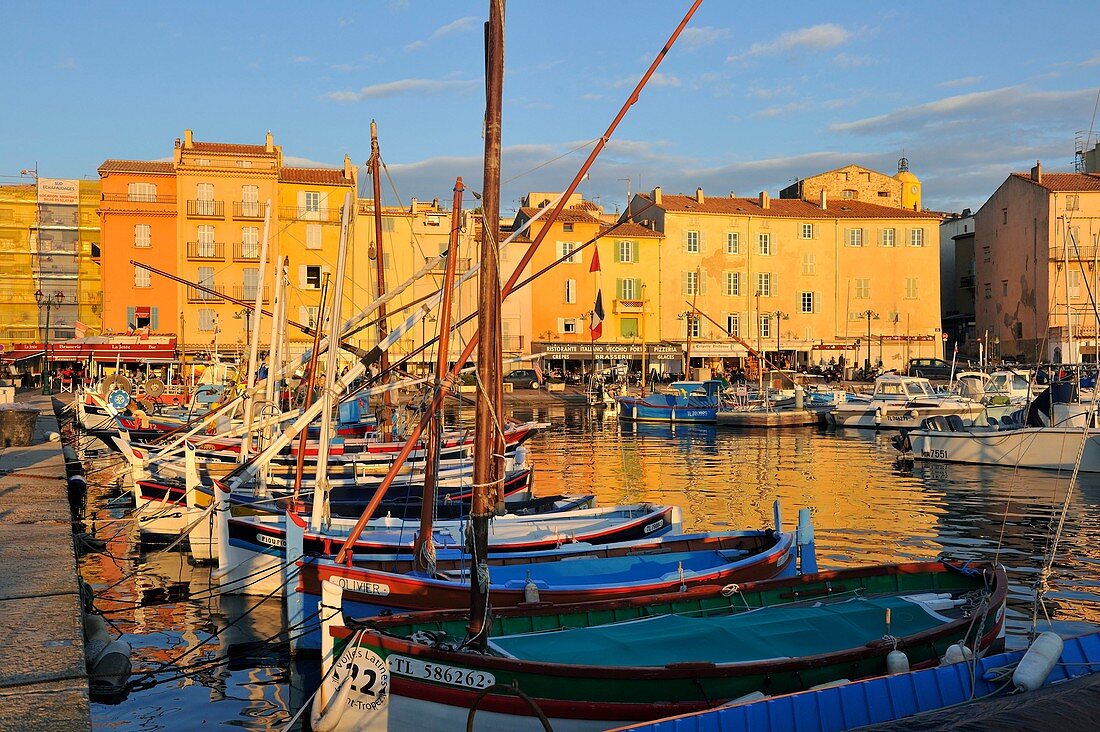 Der alte Hafen, Saint Tropez, Var, Frankreich
