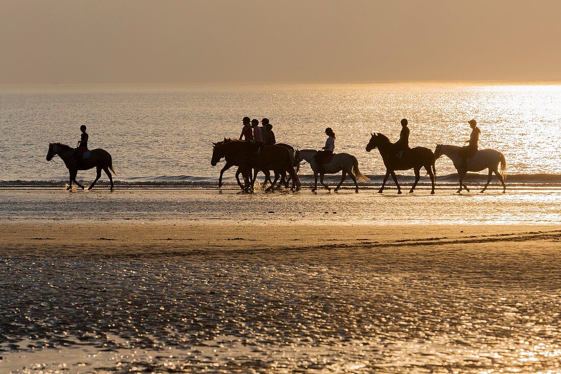 France, Calvados, Deauville, the beach, sunset, horseback riders