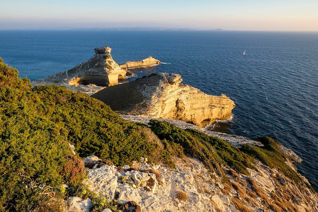France, Corse-du-Sud, Bonifacio, Bonifacio Straits Nature Reserve, Pertusato Cape
