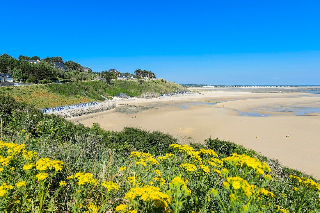 France, Manche, Barneville Carteret, Potiniere beach