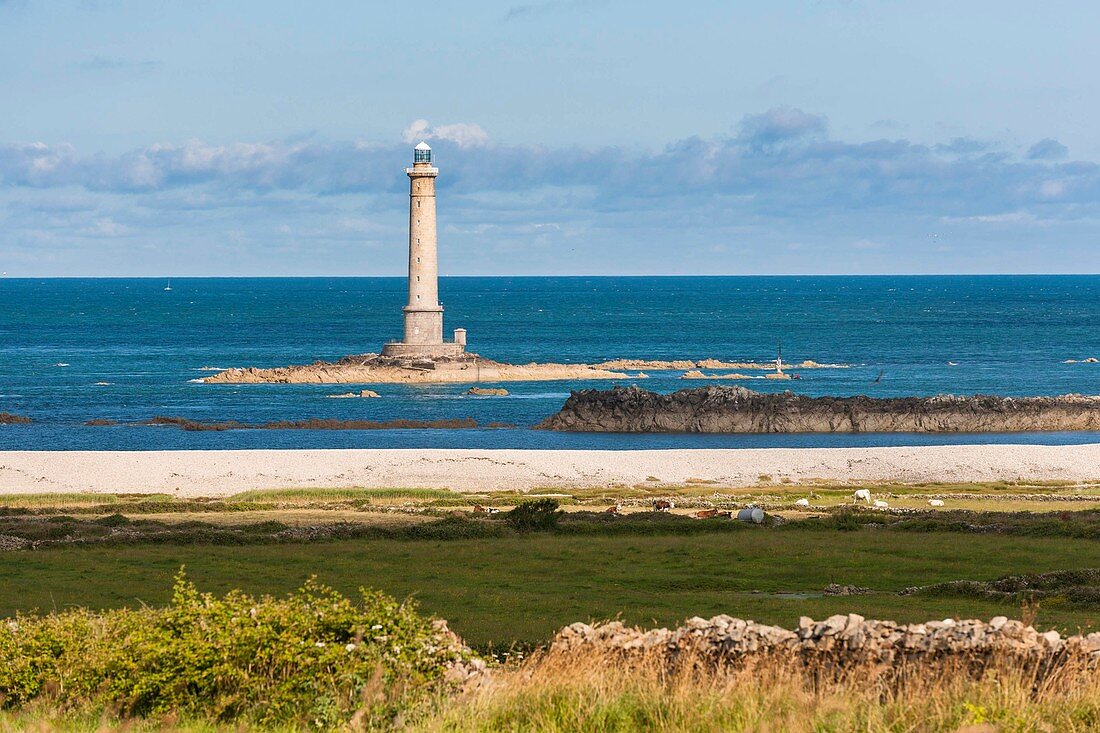 France, Manche, Cotentin, Cap de la Hague, Auderville, Hague lighthouse or Goury lighthouse on the rock called Gros du Raz