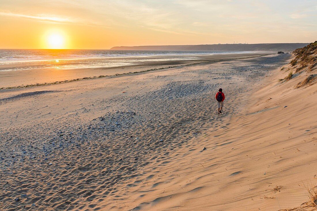 France, Manche, Cotentin, Cap de la Hague, Biville dunes massif, one of the oldest in Europe, is a protected nature reserve