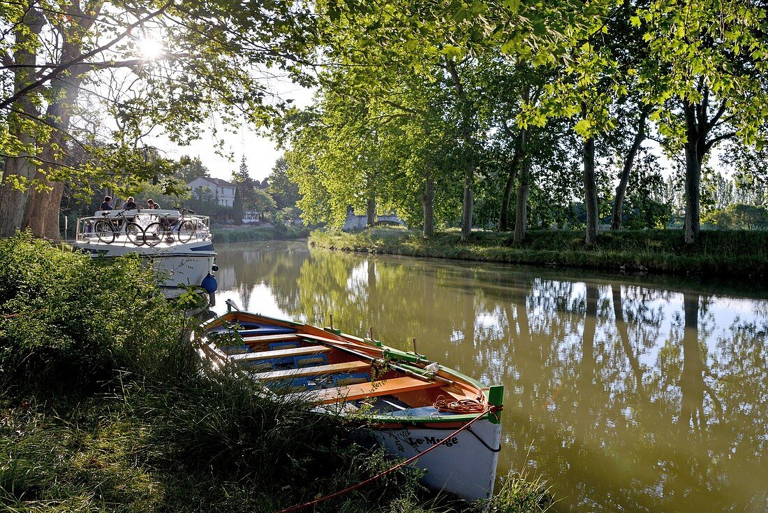 Frankreich, Herault, Cruzy, Canal du Midi von der UNESCO als Weltkulturerbe eingestuft, sagt der Ort The Crusade, traditionelles Boot, das an der Grenze eines Weges mit Platanen im Hintergrund festgemacht ist