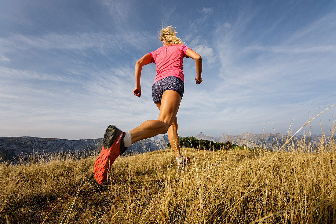 Runner on a natural path in tall grass with a clear blue sky, Bärenkopf, Achensee, Tyrol, Austria