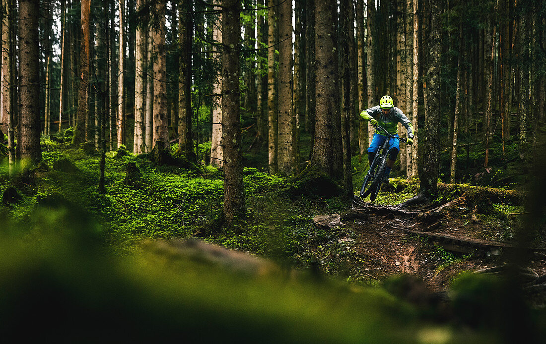 Mountainbiker springt bei Regen und mystischer Stimmung im Wald über eine Wurzel zwischen zwei Bäumen hindurch, Kitzbüheler Alpen, Tirol, Österreich