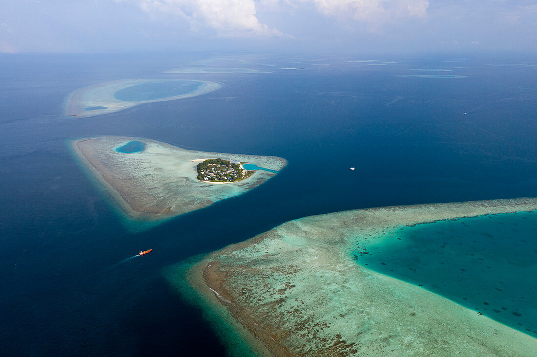 Rakheedhoo Canal dive site, Felidhu Atoll, Indian Ocean, Maldives