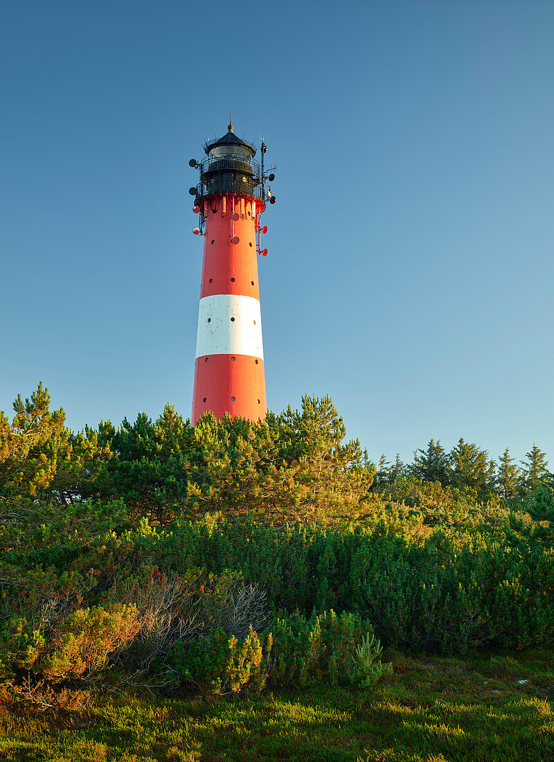 Leuchtturm Hörnum, Sylt, Schleswig-Holstein, Deutschland