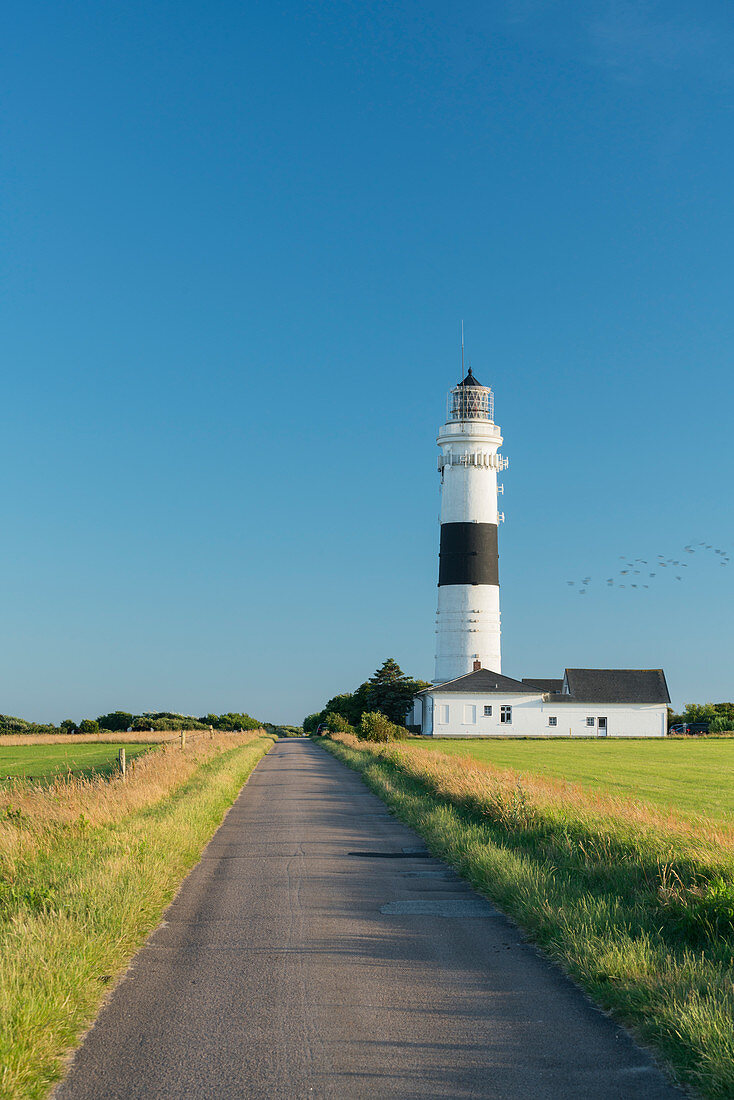 Leuchtturm 'Langer Christian', Kampen, Sylt, Schleswig-Holstein, Deutschland