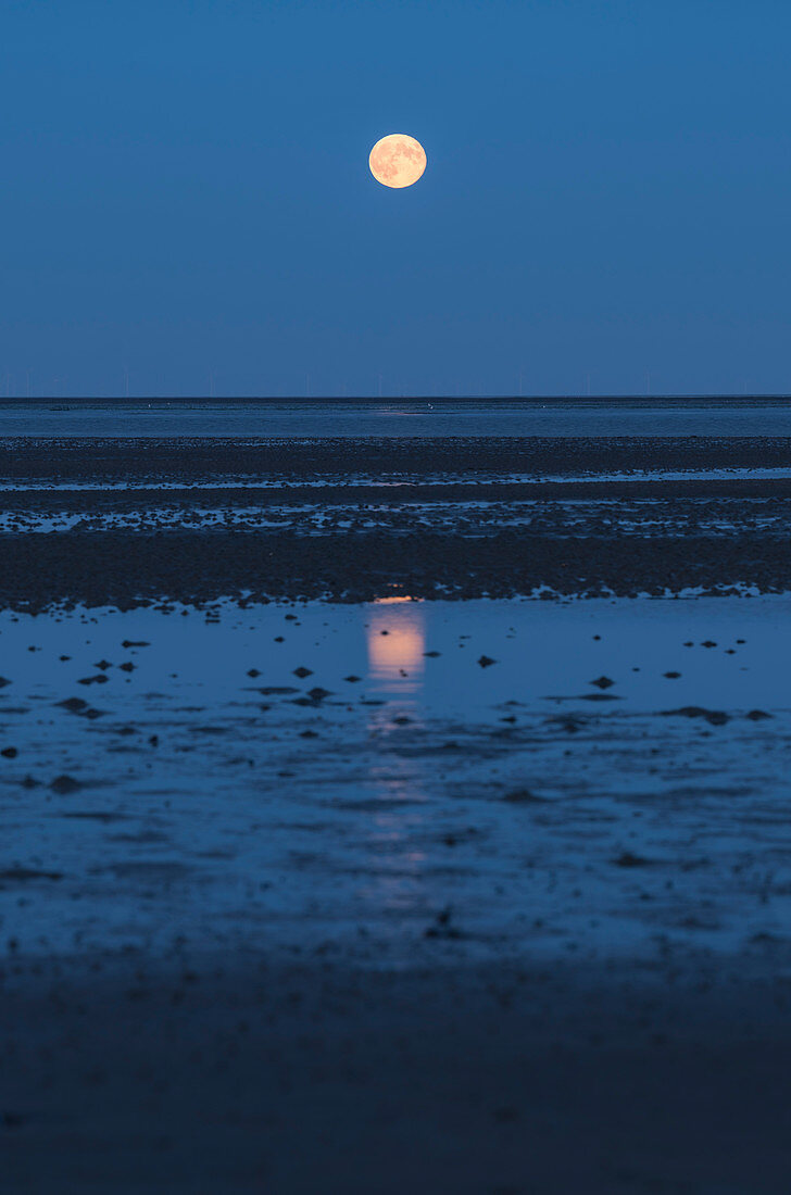Watts and full moon, Sylt, Schleswig-Holstein, Germany