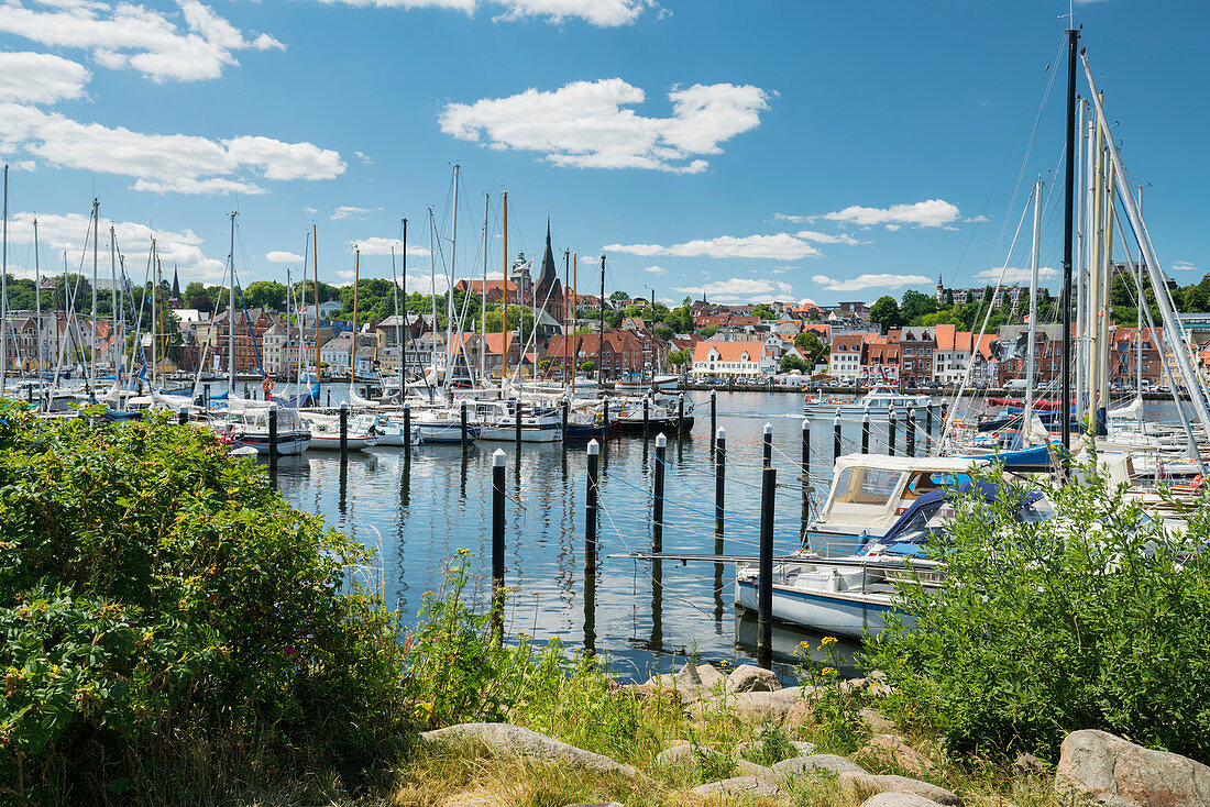 Marina on the east bank of Flensburg, Schleswig-Holstein, Germany