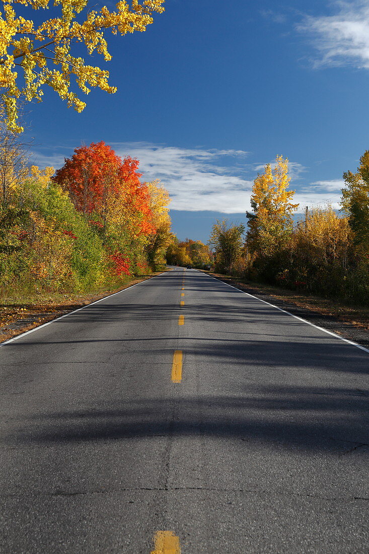 Country road in autumn