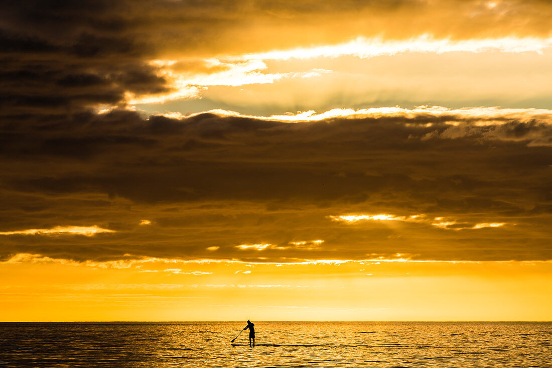 Stand-Up Paddling, SUP, im Golf von Mexiko zum Sonnenuntergang, Fort Myers Beach, Florida, USA