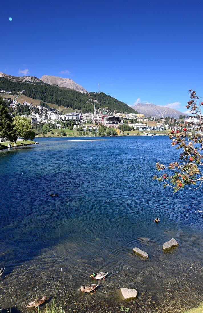 At Sankt Moritz-See, Sankt Moritz in summer, Graubünden, Ober-Engadin, Switzerland