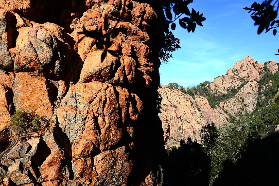 rötliche Felsen in les Calanche am Golf von Porto, West- Korsika, Frankreich