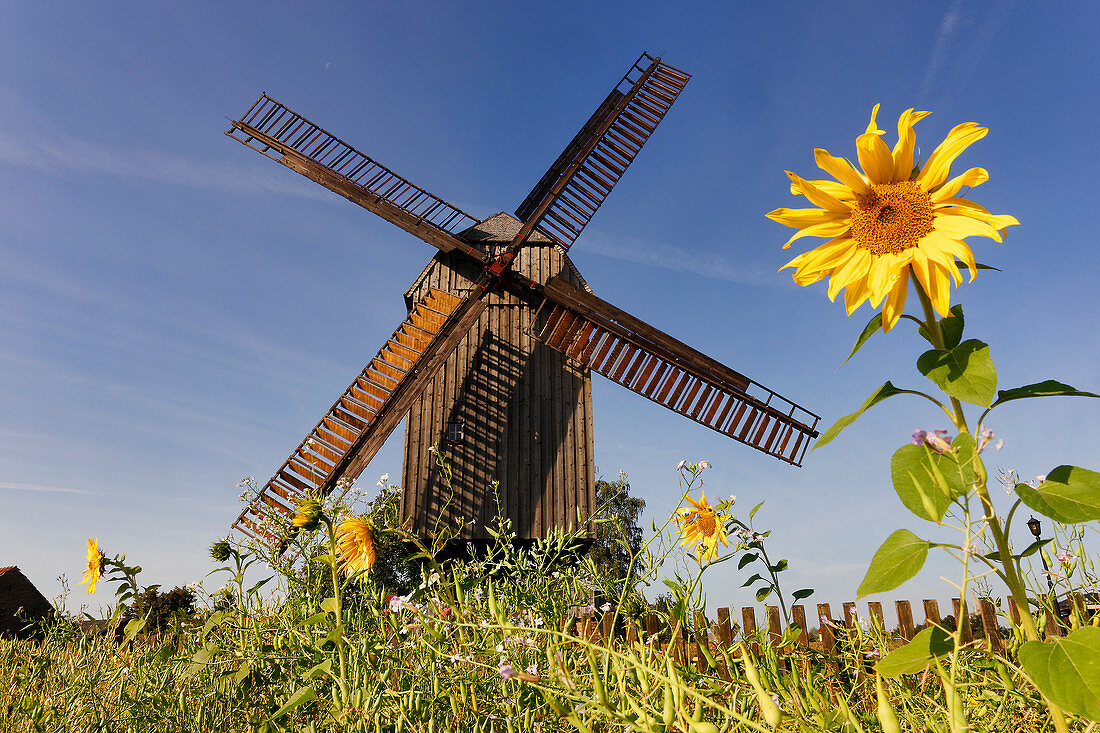 Bockwindmühle Beelitz, Naturpark Nuthe Urstromtal, Land Brandenburg, Deutschland