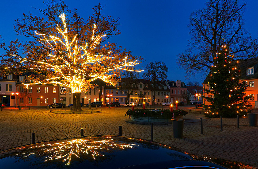 Weihnachtliche Beleuchtung am Markt auf der Inselstadt Werder (Havel), Havelland, Land Brandenburg, Deutschland